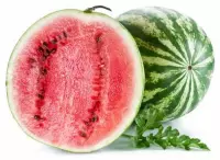 1,25 kg - Červený meloun - kompletní zmrzlinová směs, LineaGel
