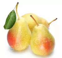 1,5 kg - Pyré Hruška Wiliams 100%