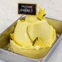 1,55 kg - Zmrzlinová směs Ananas Fruitcube, Leagel