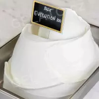 2 kg - Evolution 100 - zmrzlinový základ mléčný za tepla i za studena, Leagel