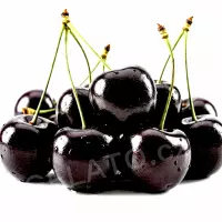 1 kg - Višeň - poleva s kousky, LineaGel
