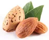 1,2 kg - Amaretto - poleva hladká, LineaGel