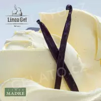 3 kg - Vanilka Madagascar Madre - vanilková ochucovací pasta hladká, LineaGel