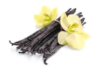 Točená zmrzlina Vanilková Italská