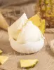 1,35 kg - Ananas - kompletní zmrzlinová sušená směs, Stella