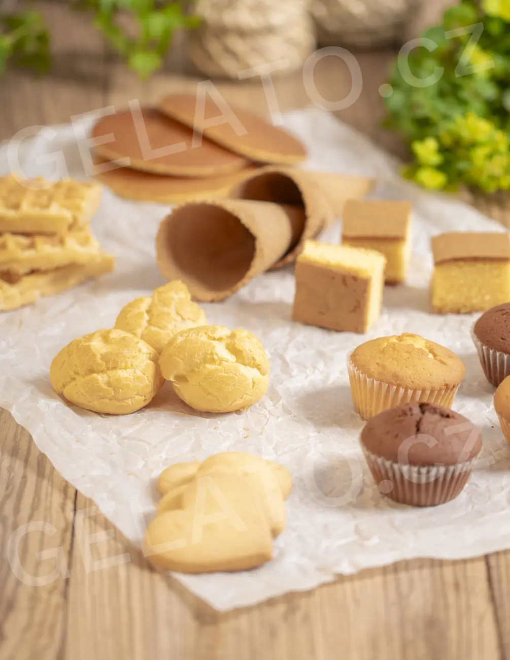 1 kg - Směs na bezlepkové křehké těsto a sušenky, Stella
