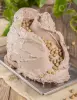 5 kg - Cupido - ochucovací pasta kakao a Lískový oříšek s kousky, Stella