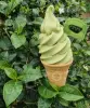 1,2 kg - Matcha Latte - kompletní zmrzlinová směs, LineaGel