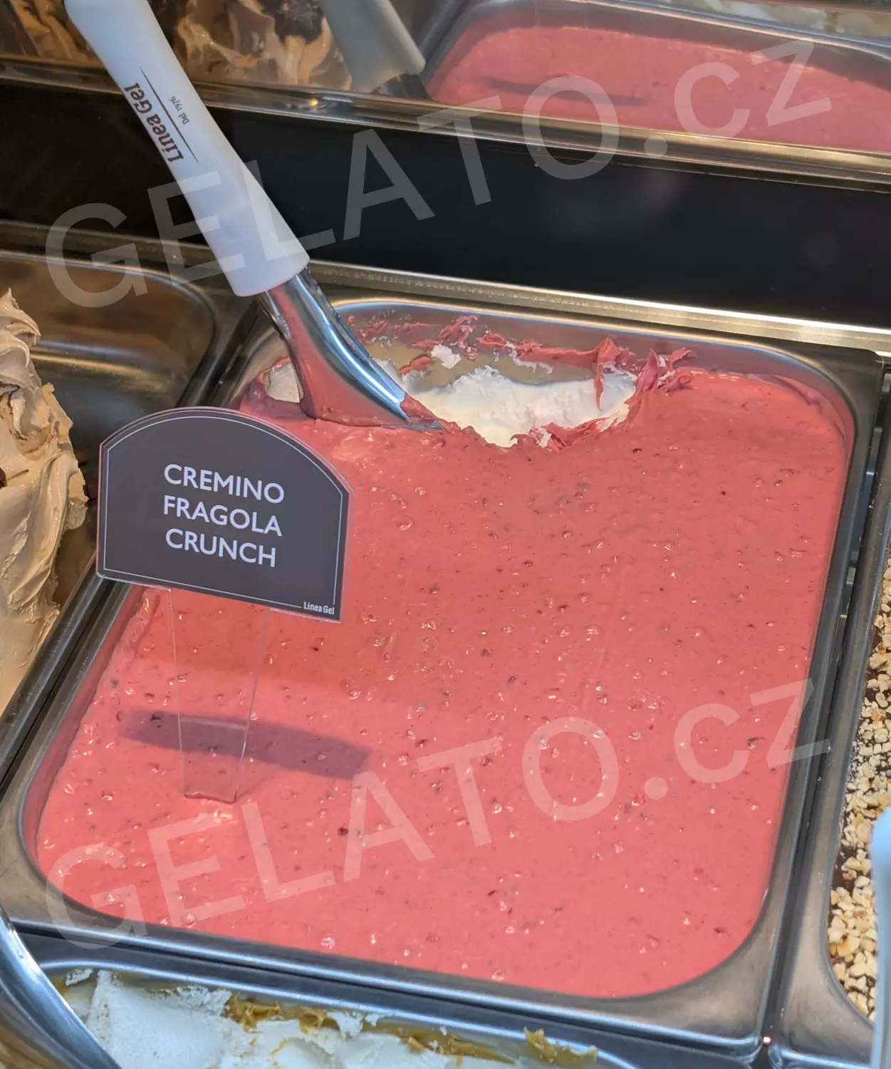 3 kg - Morella Jahoda Madre - poleva krémová s kousky, LineaGel