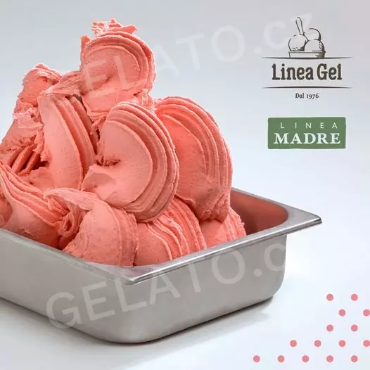 2 kg - Báze Frutta 50 Madre - základ pro ovocnou zmrzlinu