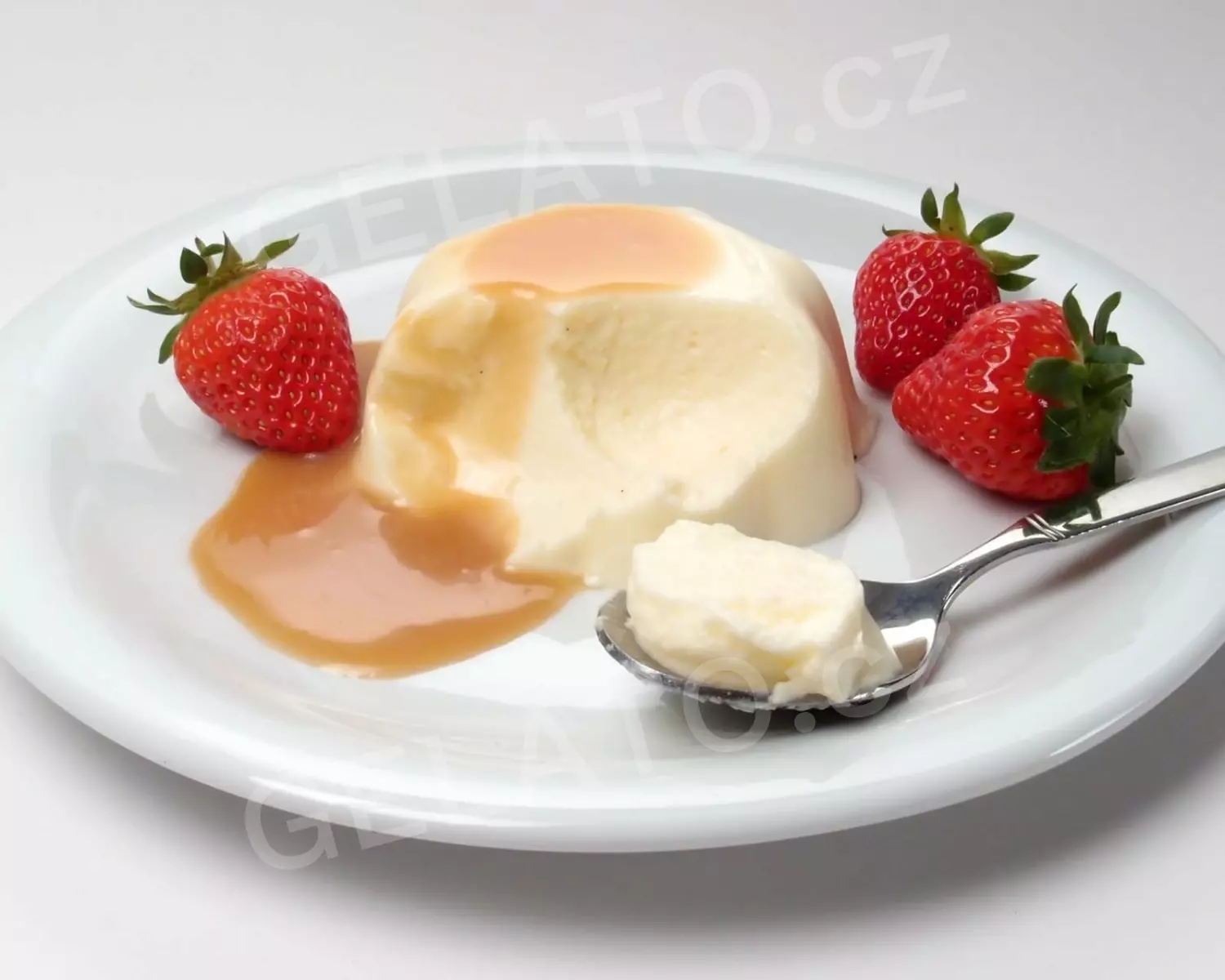 2 kg - Ztužovač šlehačky Bavarese - na šlehačkové dorty, Leagel