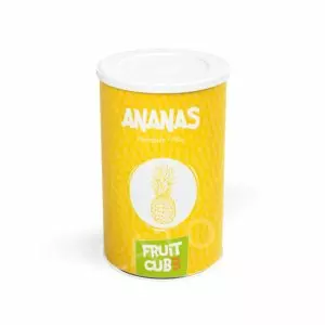 1,55 kg - Zmrzlinová směs Ananas Fruitcube, Leagel