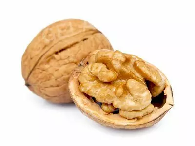 1,2 kg - Vlašský ořech - poleva hladká, LineaGel