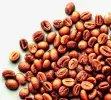 3 kg - Káva Arabica - ochucovací pasta hladká, LineaGel